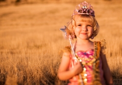 Princess Culture